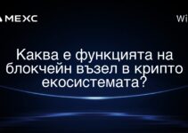 Каква е функцията на блокчейн възел в крипто екосистемата?