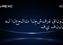 هل العملات المشفرة قانونية في فنلندا؟
