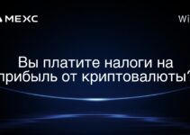 Вы платите налоги на прибыль от криптовалюты?