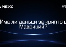 Има ли данъци за крипто в Мавриций?