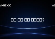 주식 옵션 소급 변경이란?