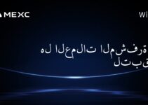 هل العملات المشفرة هنا لتبقى؟