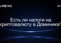 Есть ли налоги на криптовалюту в Доминике?