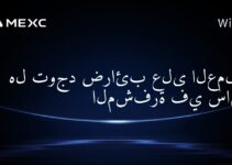 هل توجد ضرائب على العملات المشفرة في ساموا؟