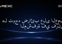 هل توجد ضرائب على العملات المشفرة في فرنسا؟