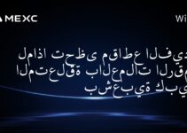 لماذا تحظى مقاطع الفيديو المتعلقة بالعملات الرقمية بشعبية كبيرة؟