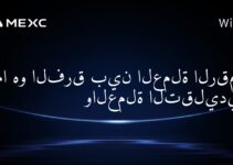 ما هو الفرق بين العملة الرقمية والعملة التقليدية؟