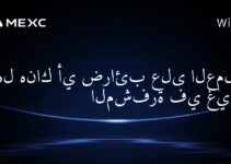 هل هناك أي ضرائب على العملات المشفرة في غيانا؟