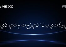 أين يتم تخزين البيتكوين؟
