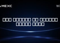 آیا بایبیت در فرانسه مسدود است؟