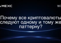 Почему все криптовалюты следуют одному и тому же паттерну?