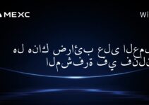 هل هناك ضرائب على العملات المشفرة في فنلندا؟