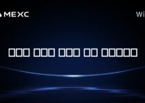 مکس دکس است یا سِکس؟