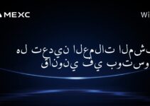 هل تعدين العملات المشفرة قانوني في بوتسوانا؟