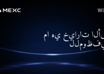 ما هي خيارات الأسهم للموظفين؟