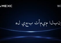 هل يجب تأميم البنوك؟
