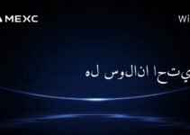 هل سولانا احتيال؟