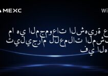 ما هي المجموعات الشهيرة على تيليجرام للعملات المشفرة في الهند؟