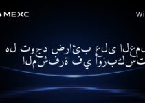 هل توجد ضرائب على العملات المشفرة في أوزبكستان؟