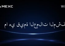 ما هي قيمة العملات المشفرة؟