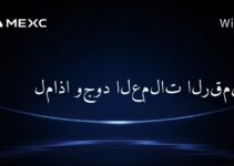 لماذا وجود العملات الرقمية؟