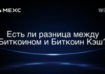 Есть ли разница между Биткоином и Биткоин Кэш?