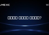 비트뱅크 창립자는 누구인가?