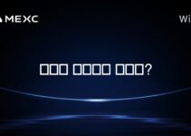 솔라나 언랩하는 방법은?