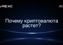 Почему криптовалюта растет?