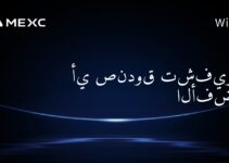 أي صندوق تشفير هو الأفضل؟