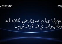 هل هناك ضرائب على العملات المشفرة في باربادوس؟