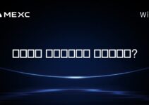 솔라나는 인플레이션을 일으키나요?