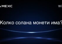 Колко солана монети има?