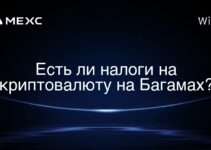 Есть ли налоги на криптовалюту на Багамах?