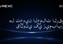 هل تعدين العملات الرقمية قانوني في زيمبابوي؟