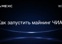 Как запустить майнинг ЧИА?
