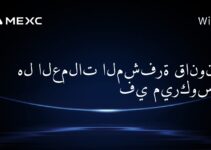 هل العملات المشفرة قانونية في ميركوسور؟