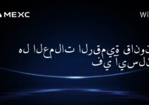 هل العملات الرقمية قانونية في آيسلندا؟
