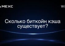 Сколько биткойн кэша существует?