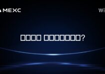 솔라나는 디플레이션인가?