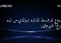 هل سيكون هناك طفرة عملات رقمية أخرى؟