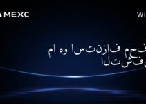 ما هو استنزاف محفظة التشفير؟