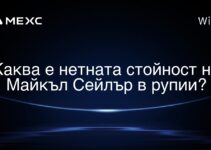Каква е нетната стойност на Майкъл Сейлър в рупии?