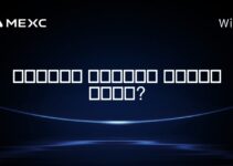 세인트빈센트 그레나딘에서 암호화폐는 합법인가?