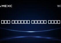آیا سولانا تورمی است؟