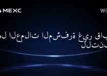 هل العملات المشفرة غير قابلة للتنبؤ؟
