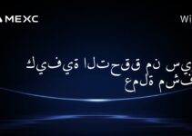 كيفية التحقق من سيولة عملة مشفرة؟