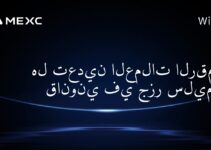 هل تعدين العملات الرقمية قانوني في جزر سليمان؟