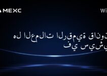 هل العملات الرقمية قانونية في سيشيل؟