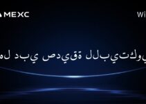 هل دبي صديقة للبيتكوين؟